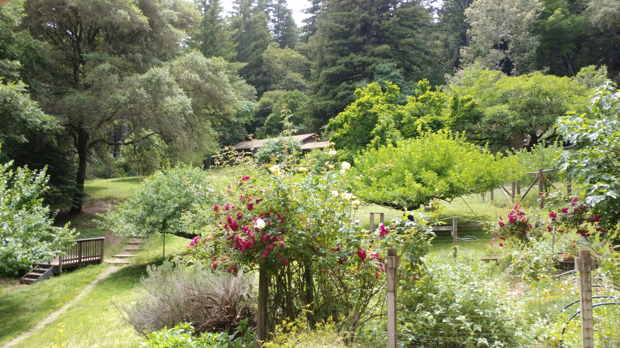 Orchard Ben Lomond Quaker Center