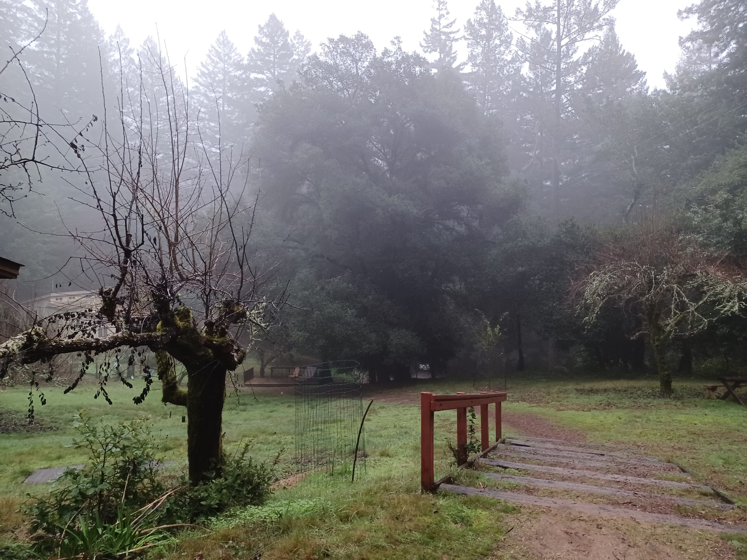 The 2024 2025 YearEnd Retreat Ben Lomond Quaker Center